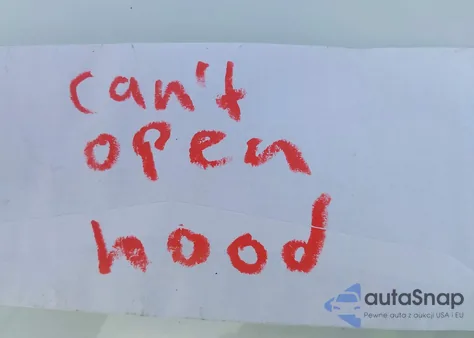 2023 Tesla Model Y Awd/Long Range Dual Motor All-Wheel Drive из США, поврежденный, VIN 7SAYGDEE4PA134810